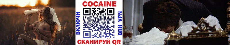 Купить закладки  Сясьстрой  COCAIN FishScale 