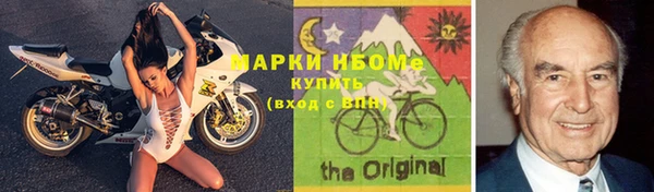 стаф Новосибирск