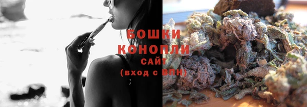 стаф Новосибирск