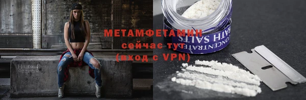 мяу мяу мука Ессентукская