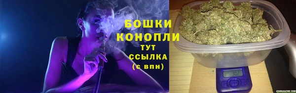 мяу мяу мука Ессентукская