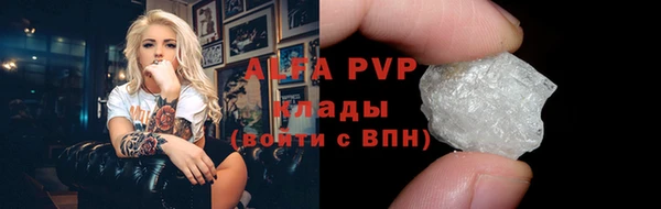 Альфа ПВП Санкт-Петербург