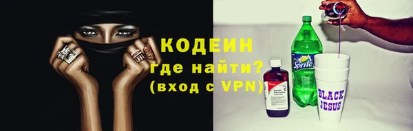 стаф Новосибирск