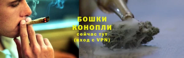 стаф Новосибирск
