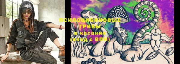 Альфа ПВП Санкт-Петербург