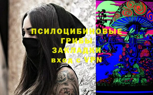 стаф Новосибирск