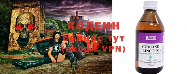 стаф Новосибирск