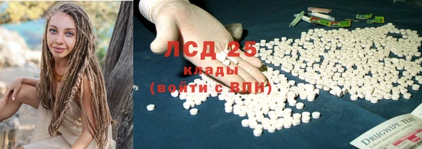 стаф Новосибирск