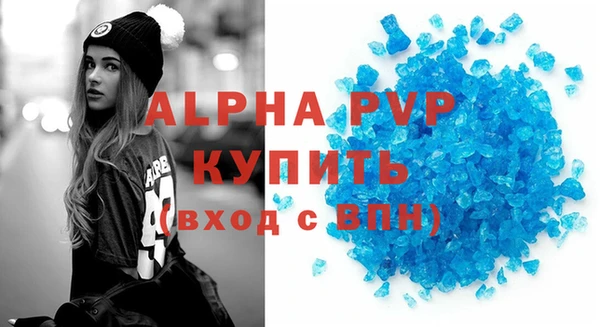 стаф Новосибирск