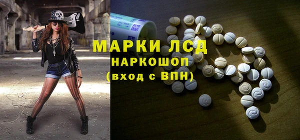 мяу мяу мука Ессентукская