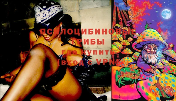стаф Новосибирск