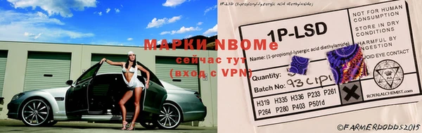 мяу мяу мука Ессентукская