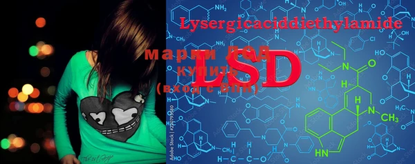 мяу мяу мука Ессентукская