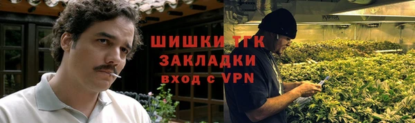 стаф Новосибирск