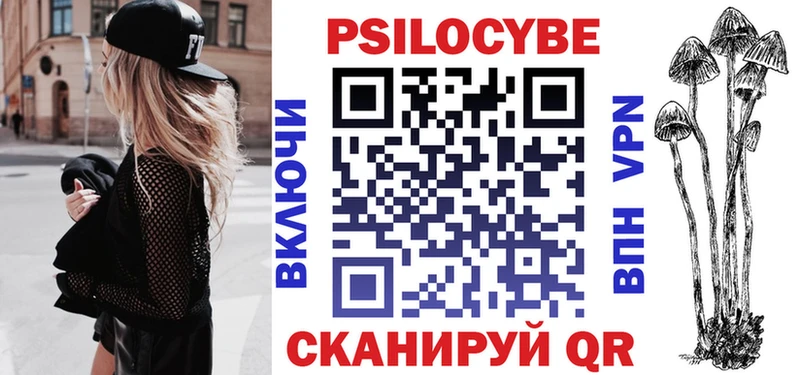 Галлюциногенные грибы Psilocybe Сясьстрой